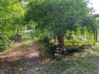 Недвижимость Семейный дом Вепринац: 4