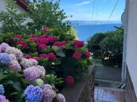 Недвижимость Двухкомнатная квартира Центр: 26