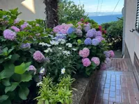 Недвижимость Двухкомнатная квартира Центр: 28