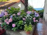 Недвижимость Двухкомнатная квартира Центр: 29