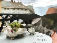 Недвижимость Квартира в центре Опатии: 3