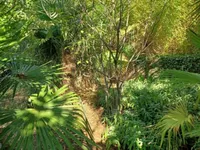 Недвижимость Трёхкомнатная квартира Опатия: 9