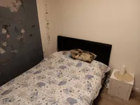 Недвижимость Трехкомнатная квартира Вепринац: 10