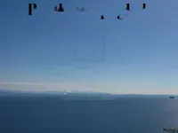 Недвижимость Четырехкомнатная квартира Волоще: 3