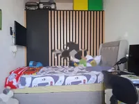 Недвижимость Трехкомнатная квартира в центре Опатии: 13