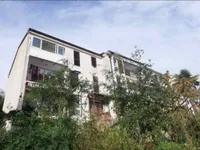 Недвижимость Трёхкомнатная квартира Зора: 10