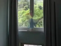 Недвижимость Трехкомнатная квартира в Центре: 9