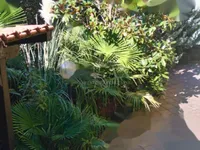 Недвижимость Трёхкомнатная квартира Ичичи: 8