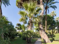 Недвижимость Apartment Cannes: 11