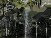 Недвижимость Apartment Cannes California: 9