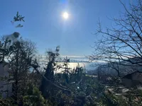 Недвижимость Семейный дом 250 м², Запад, Опатия: 2