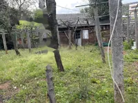 Недвижимость Семейный дом в центре Опатии: 15