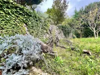 Недвижимость Частный дом Побри, Опатия: 27