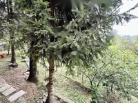 Недвижимость Дом в Вепринаце, Опатия: 29