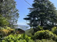 Недвижимость Четырехкомнатная квартира Центр: 9