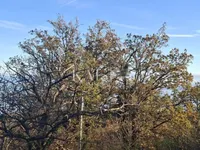 Недвижимость Семейный дом Вепринац: 10