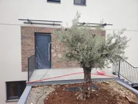 Недвижимость Четырехкомнатная квартира Центр Опатия: 22