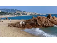 Недвижимость Duplex Cannes: 1