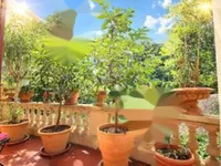 Недвижимость Apartment Pointe Croisette: 3