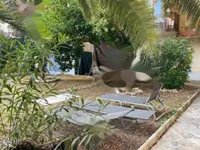 Недвижимость Apartment Cannes Carnot: 9