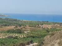 Недвижимость 3 Bedroom Villa For sale in Kissonerga, Paphos: 11