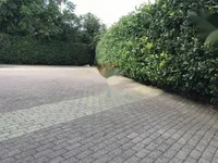 Недвижимость Четырехкомнатная квартира в Ичичи: 18