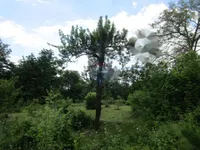 Недвижимость Семейный дом в Вепринаце: 19