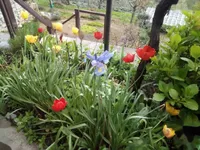 Недвижимость Многоквартирный дом Поляне: 15