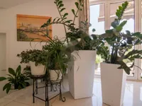 Недвижимость Семейный дом в Ичичи: 14