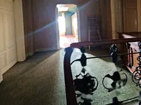Недвижимость Квартира в центре Опатии: 38