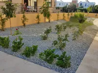 Недвижимость 4 Bedrooms Villa For sale in Chloraka, Paphos: 10