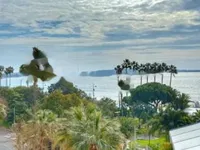 Недвижимость Apartment Cannes Central: 11