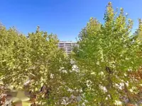 Недвижимость Apartment Cannes: 14