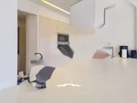 Недвижимость Apartment Cannes Center: 8