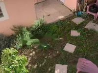 Недвижимость Duplex Cannes République: 16