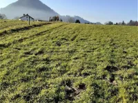 Недвижимость Инвестиционный участок в Верхней Гамельне: 1