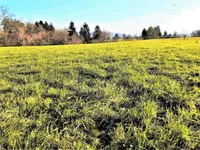 Недвижимость Инвестиционный участок в Верхней Гамельне: 2