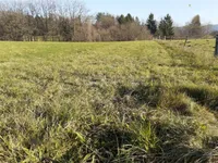 Недвижимость Инвестиционный участок в Верхней Гамельне: 3