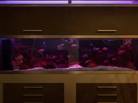 Недвижимость 6 Bedroom Unique Modern Villa For sale with Sea Views in Agia Fyla, Limassol: 15