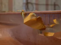 Недвижимость 6 Bedroom Villa For sale in Paleo Psichiko, Athens: 27