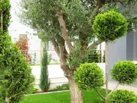 Недвижимость 5+1 Bedroom Beachfront Villa for Sale in Limassol: 6