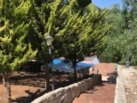 Недвижимость 4 Bedroom Villa with a huge plot for Sale in Pissouri ,Limassol: 8