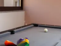 Недвижимость Трехкомнатная квартира, Центр: 6