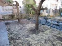 Недвижимость Четырехкомнатная в центре Гориции: 13