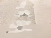 Недвижимость Квартира на аукционе Горисия: 1