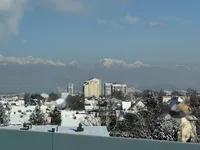 Недвижимость Квартира в Жидановом квартале: 11