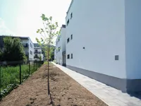 Недвижимость Квартира 2-комнатная Новая Надгорица: 13