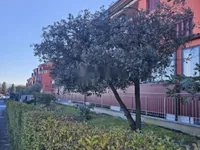 Недвижимость 1-комнатная квартира в Копере: 1