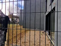 Недвижимость Дом с террасой Новый Любляна Центр: 4