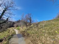 Недвижимость Имение, ферма Старый Град: 6